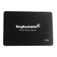 Empty​​​​​​​ SSD KP320 Senza Software 256GB